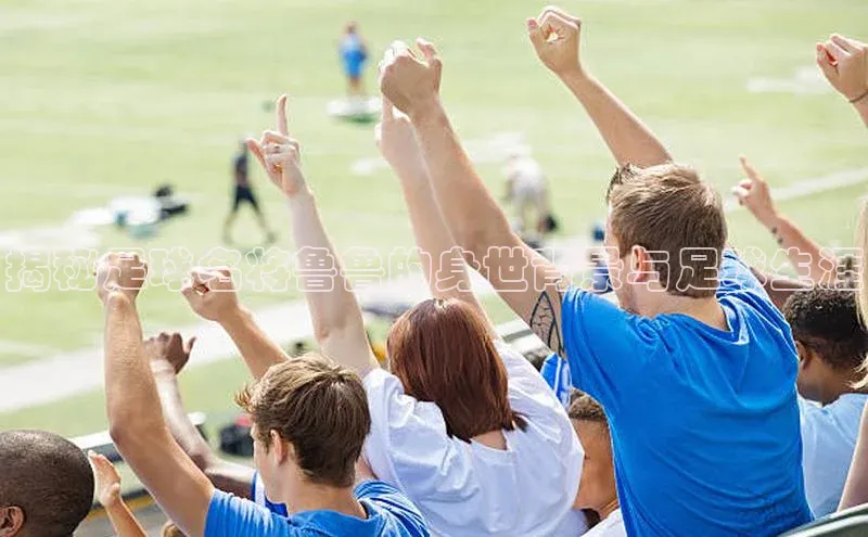 天辰登录连接哇咔哇咔文化揭秘足球名将鲁鲁的身世背景与足球生涯
