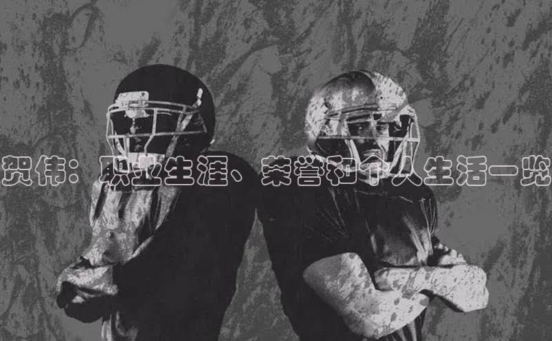 天辰平台官方网站入口神思电子贺伟：职业生涯、荣誉和个人生活一览