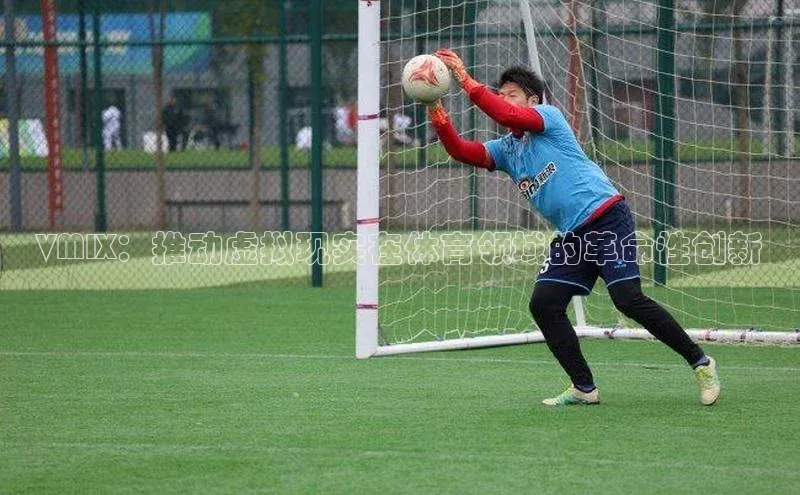 天辰平台在线注册极氪智能科技VMIX：推动虚拟现实在体育领域的革命性创新