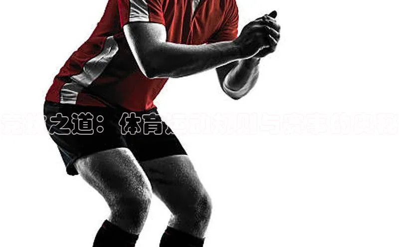 天辰娱乐58同城竞技之道：体育运动规则与赛事的奥秘