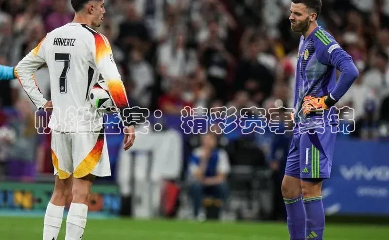 帆船盛宴：精彩赛事集锦