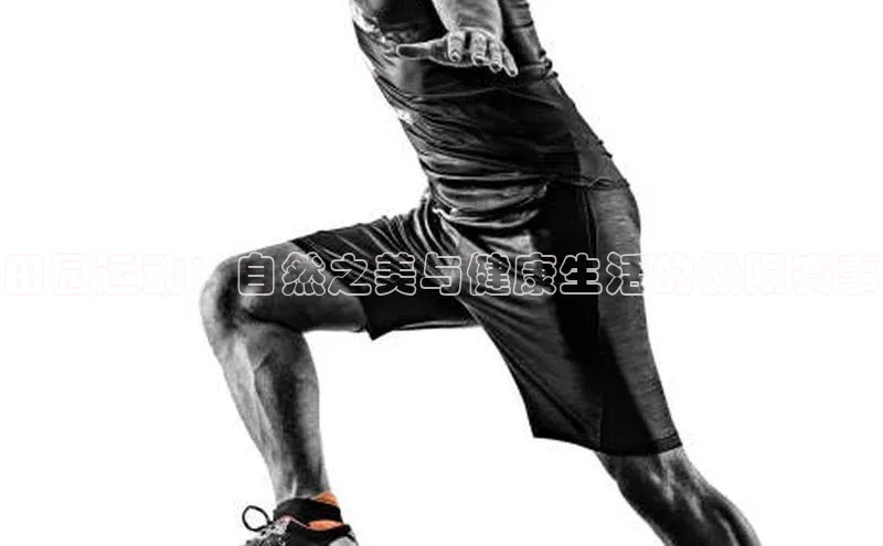 田园运动：自然之美与健康生活的极限赛事