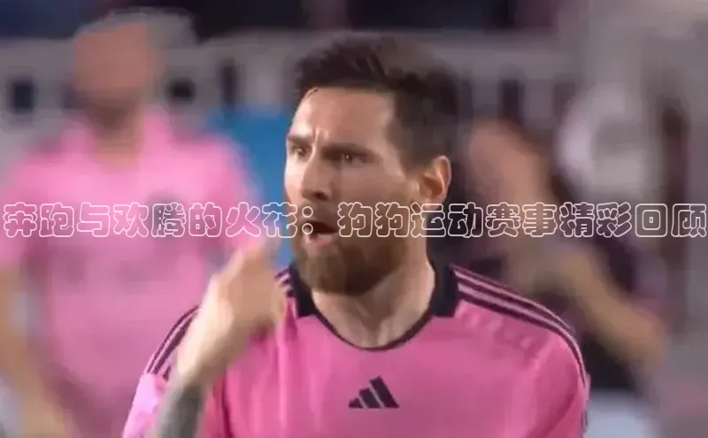 奔跑与欢腾的火花：狗狗运动赛事精彩回顾