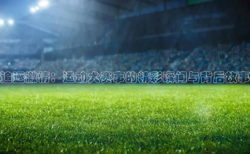 追逐激情：运动犬赛事的精彩瞬间与背后故事