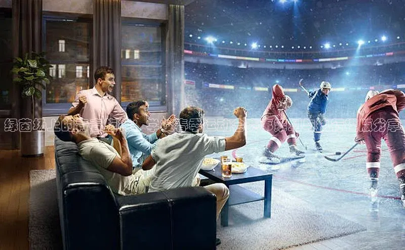 绿茵场上的青春旋律：学校春季运动会赛事策划与执行模版分享