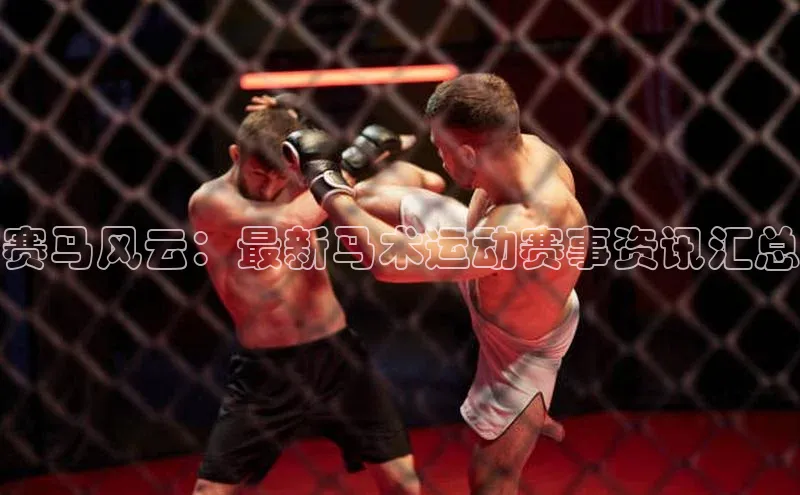 赛马风云：最新马术运动赛事资讯汇总