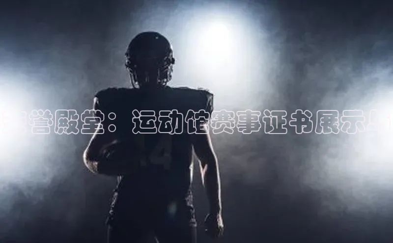 荣誉殿堂：运动馆赛事证书展示与