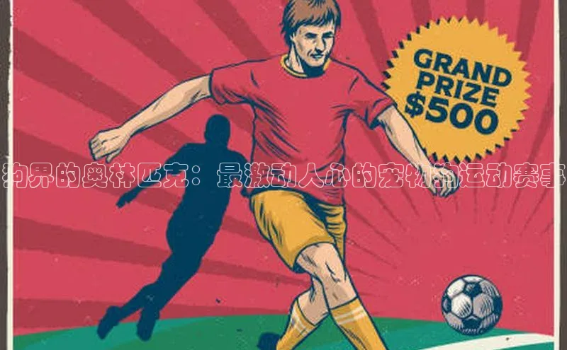 狗界的奥林匹克：最激动人心的宠物狗运动赛事