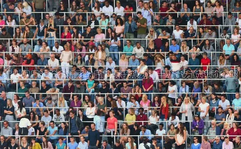 第十四届运动会精彩纷呈的赛程规划：一场全方位运动盛宴