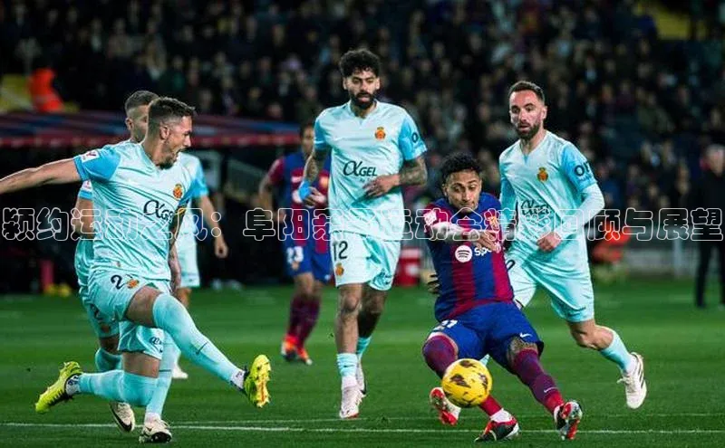 颍约运动之风：阜阳亲子运动会精彩回顾与展望