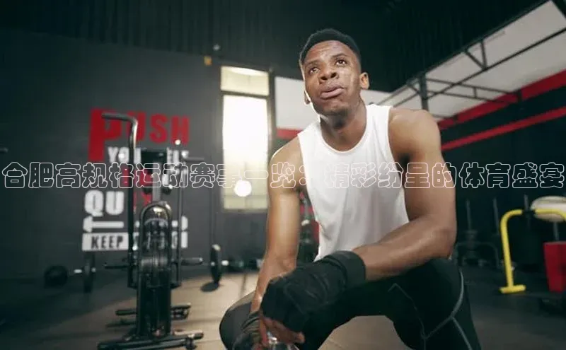 合肥高规格运动赛事一览：精彩纷呈的体育盛宴