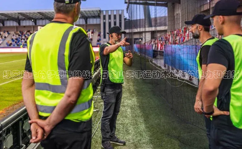 绿茵场上的梦想与挑战：石嘴山赛事运动木地板的魅力和创新