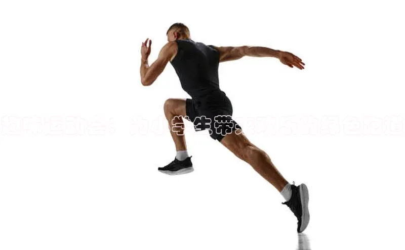 趣味运动会：为小学生带来欢乐的绿色跑道