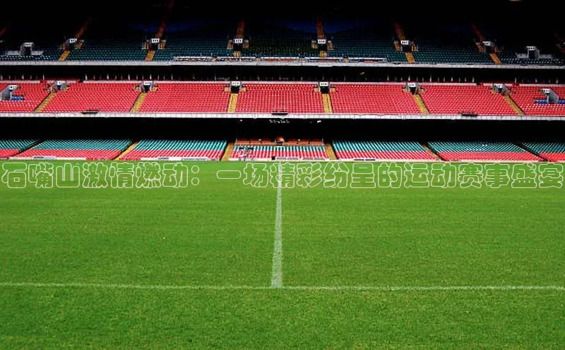 石嘴山激情燃动：一场精彩纷呈的运动赛事盛宴